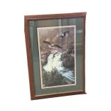 Framed Eagle Photography Print