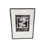 Framed Floral Artwork Print