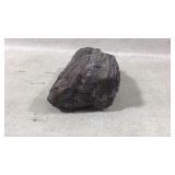 Natural Dark Brown Petrified Wood Specimen