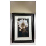 Stupell Industries "Modern Sepia Mum Flower"