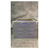 Silver Mesh Crate File Box with Multicolored File