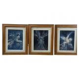 (3) Brian Froud framed art prints