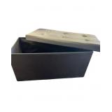 Collapsible Storage Tote /Bench with Lid