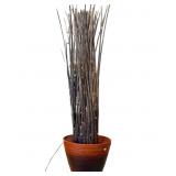 LED Lighted Home /entry decor Twig in Bamboo