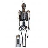6 Foot New LIGHT UP SKELETON