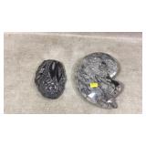 Fossils
