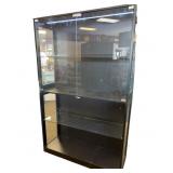 LED Lighted Cabinet with Top Glass Doors and a