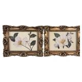 Vintage Ornate Framed Magnolia Floral Prints
