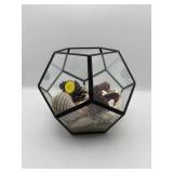 GLASS TERRARIUM