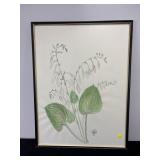 IVY HENDRY WATERCOLOUR OF HOSTAS, CIRCA 1960'S