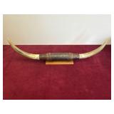 SET OF MOUNTED TEXAS LONG HORN HORNS