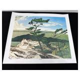 A. J. CASSON - WHITE PINE
