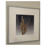 MODERN RAMED PRINT OF WHEAT