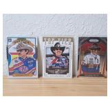(3) Richard Petty Racing Cards