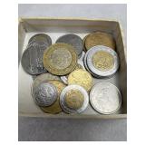 Foreign Coin Lot