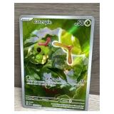 2023 Pokémon Caterpie Holo