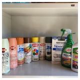 Spray Paint Lot / Car Wash & Wax -