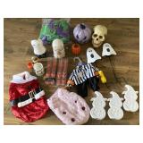 Halloween Lot - Decorations & Jester Costume,