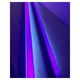 (2) 50" Long Tube Black Lights