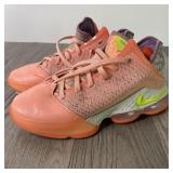 Nike LaBron James Basketball Shoes Menï¿½s Size 7 -