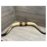 Bull Horn Plaque 36" across