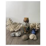 Coral & Stones Lot -