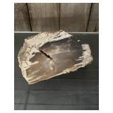 Petrified Wood Chunk - Big -