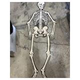66" Jointed Skeleton Made in USA