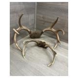 (2) Sets of Antlers