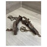 (2) Victor Small Animal Traps