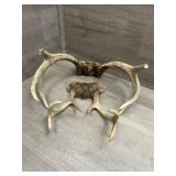 (2) Antler Racks