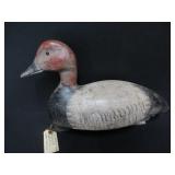 BEAUTIFUL CANVAS BACK DRAKE LONGPOINT LAKE ERIE