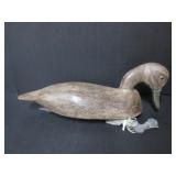 FEEDING BLACK DUCK BELLEVILLE ONT. DECOY