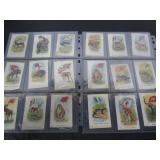 1915 IMPERIAL TOBACCO SILKS 18 TOTAL