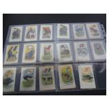 1915 IMPERIAL TOBACCO SILKS