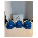 (3) Unused Blue Seal Caps