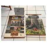 (2) Husqvarna Posters