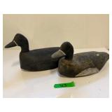 (2) Duck Decoys -Senecal Lancaster-'Bluebill Hen'