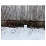 (6) Section Spike Harrow & Evener