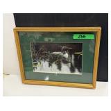 Framed Robert Bateman Print - 'Loon'