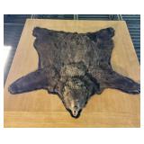 Full Size Taxidermy Bear Rug -Mounted