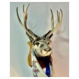 'Jackalope' Taxidermy Plaque Mount