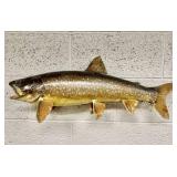 Lake Trout Taxidermy Mount