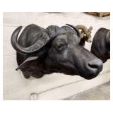 African Cape Buffalo Taxidermy Shoulder Mount