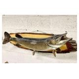 Nothern Pike Telesky Taxidermist Wood Plaque Mount