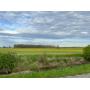 Land Real Estate Auction