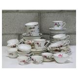 Variety of Rose China