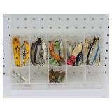 Fishing Lures in Case