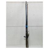 Fishing Rods and Reel