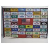Framed Bicycle License Plates 31.5' x 22'